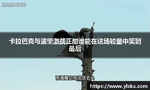 英国立博官方网站
